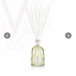 DR.VLANJES ジンジャー・ライム リードディフューザー 250ml(アロマディフューザー)