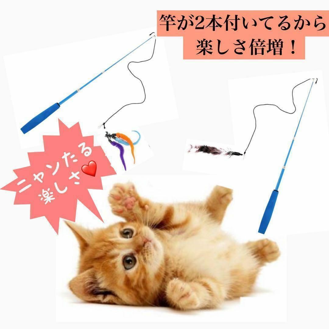 猫じゃらし 猫おもちゃ 猫グッズ 竿おもちゃ セット 運動 ストレス解消 楽しい その他のペット用品(猫)の商品写真