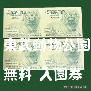 残り2枚！東武動物公園　入園料無料券　期限2024.6/30まで(動物園)