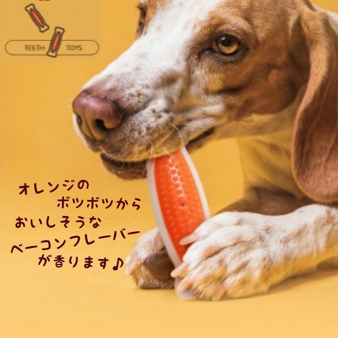 犬 おもちゃ おやつ 噛む デンタルトイ ボーン 歯磨き ベーコン 壊れないS その他のペット用品(犬)の商品写真