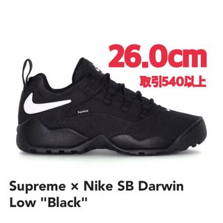 シュプリーム(Supreme)のSupreme × Nike SB Darwin Low Black 26cm(スニーカー)