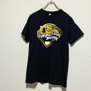 ギルタン(GILDAN)のアメリカ古着　ソフトボール　半袖　Tシャツ　プリント　Mサイズ　I233(Tシャツ/カットソー(半袖/袖なし))