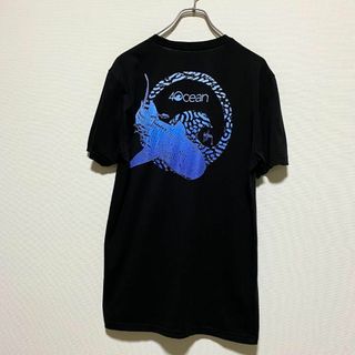 アメリカ古着　ジンベエザメ　whale shark　半袖　Tシャツ　アニマル(Tシャツ/カットソー(半袖/袖なし))