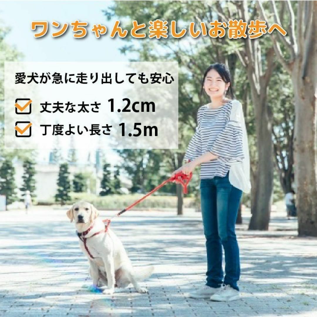 【圧倒的柔らかさ】犬リード スポンジ持ち手 頑丈 軽量 反射材 人気 定番 黒 その他のペット用品(犬)の商品写真