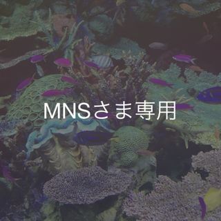 MNSさま専用(ピアス)