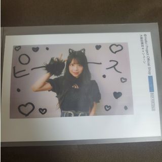 ハロープロジェクト(HELLO！PROJECT)のハロショ 特典写真(アイドルグッズ)