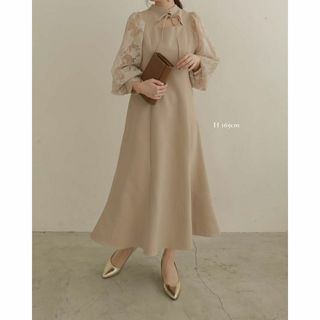 alumu AM229008 occasion dress(ロングワンピース/マキシワンピース)