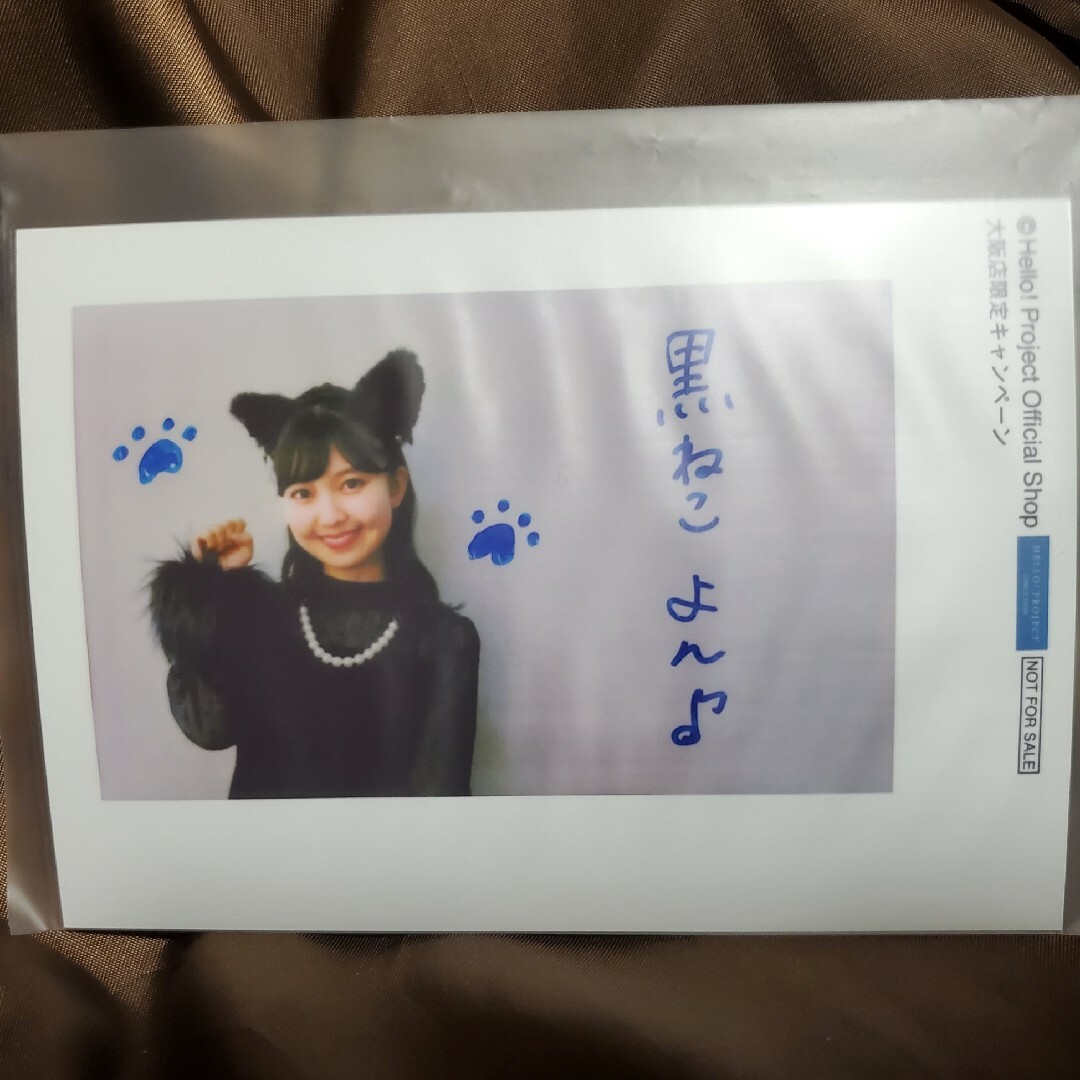 HELLO！PROJECT(ハロープロジェクト)のハロショ 特典写真 エンタメ/ホビーのタレントグッズ(アイドルグッズ)の商品写真