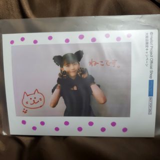 ハロープロジェクト(HELLO！PROJECT)のハロショ 特典写真(アイドルグッズ)