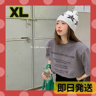 Tシャツ トップス ハン半そで ラウンドネック レディース　XL(Tシャツ(長袖/七分))