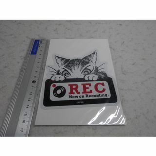 新品　ステッカー　ＲＥＣ　車用品　シール　録画中　わちふぃーるど　ダヤン　猫(車内アクセサリ)