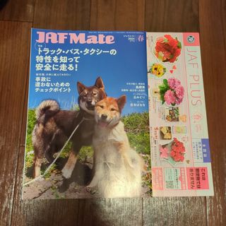 JAF Mate 2024 春(趣味/スポーツ)