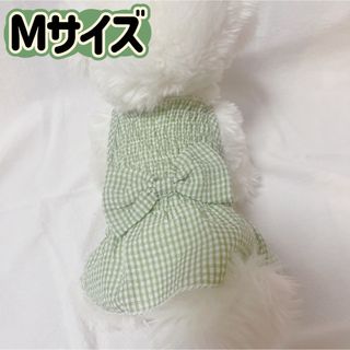 犬服猫服　ペット服　ペットウェア　ドッグウェア　グリーンリボンMサイズ(ペット服/アクセサリー)