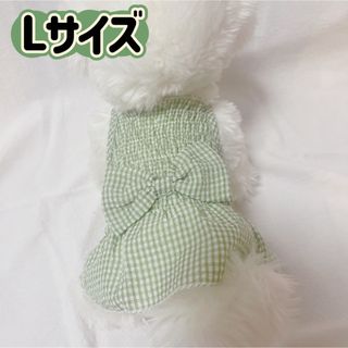 犬服猫服　ペット服　ペットウェア　ドッグウェア　グリーンリボンLサイズ(ペット服/アクセサリー)