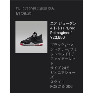 ジョーダン(Jordan Brand（NIKE）)のAJ4  gs ブレッド2024  24.5(スニーカー)