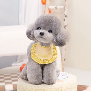 【即購入OK】ペット用 小型犬 スタイ 韓国風 パステルカラー(犬)