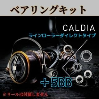 ダイワ(DAIWA)の21カルディア フルベアリングキット【ラインローラーダイレクトタイプ】(ルアー用品)