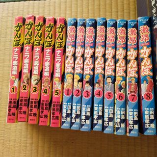 がんぼ ナニワ悪道編　全5巻 激昂(ブチギレ)がんぼ 全8巻(青年漫画)