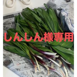 北海道産天然物行者にんにく　700g(野菜)