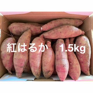 紅はるか　1.5kg さつまいも　小さいサイズ(野菜)