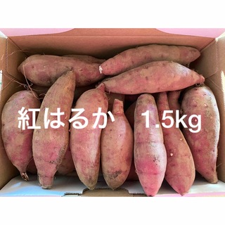 紅はるか　1.5kg さつまいも(野菜)