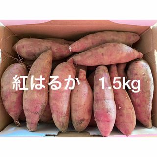 紅はるか　1.5kg さつまいも(野菜)