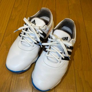 adidas ゴルフシューズ 25.0cm(シューズ)