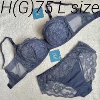 シュットインティメイツ(Chut! INTIMATES)のchut! ネイビー すっきりサイドシェイプH75 ビキニL未使用新品(ブラ&ショーツセット)