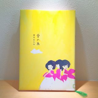 ☆リサイクル図書本！愛の島・望月あんね(文学/小説)