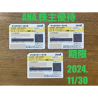 ANA 株主優待券 ３枚　（2024. 11/30まで）(航空券)