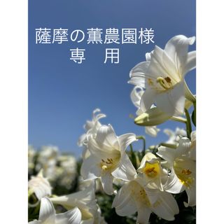 薩摩の薫農園様専用(野菜)