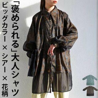 アンティカ(antiqua)の【antiqua】大人っぽくこなれる♡ビッグカラーシアーシャツ【アンティカ】(シャツ/ブラウス(長袖/七分))