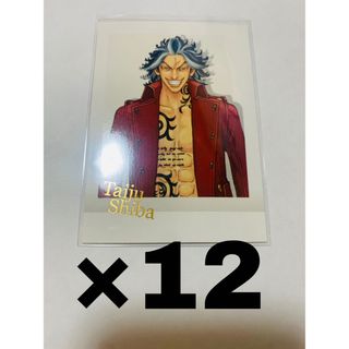 東京リベンジャーズ 原画展 ぱしゃこれ 柴 大寿 カラー 12枚セット(キャラクターグッズ)