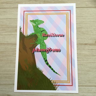 グリーンバシリスク　爬虫類　トカゲ　ポストカード(アート/写真)