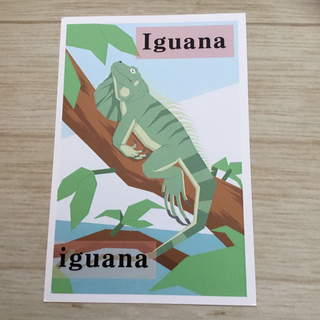 グリーンイグアナ　爬虫類　トカゲ　ポストカード(アート/写真)