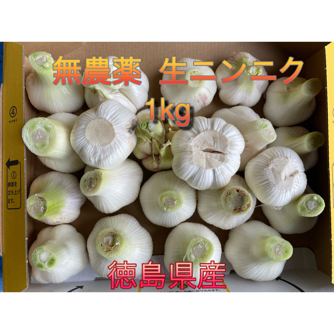 生ニンニク 徳島県産 無農薬 食品/飲料/酒の食品(野菜)の商品写真