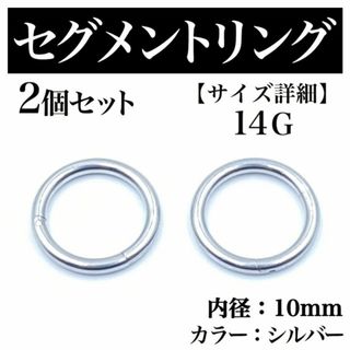 セグメントリング 14G 2本 フープピアス ボディピアス シルバー BP179(ピアス(片耳用))