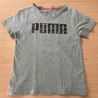 プーマ(PUMA)の子供　140cm PUMA Ｔシャツ(Tシャツ/カットソー)
