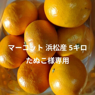 マーコット 浜松産 5キロ たぬこ様専用(フルーツ)