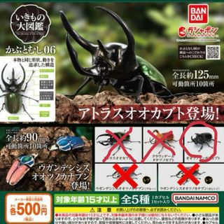 バンダイ(BANDAI)のいきもの大図鑑 カブトムシ06(その他)