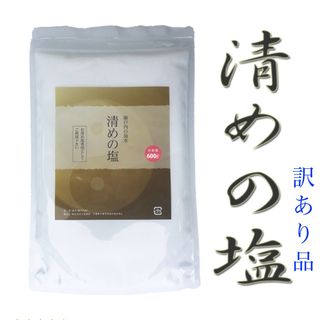 訳あり 新品 盛り塩 盛塩 清めの塩 ジップ付きスタンドパック 600g(日用品/生活雑貨)