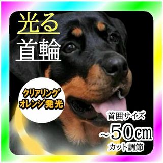 新品送料無料 ペット用 夜のお散歩 光る首輪 50㎝ クリア オレンジ(犬)