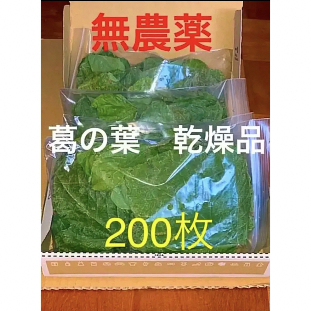 葛の葉　くずのは　乾燥品　無農薬　200枚 その他のペット用品(小動物)の商品写真