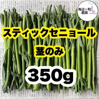 高知県産　茎ブロッコリー　スティックセニョール　茎のみ　野菜　農家直送！ T(野菜)