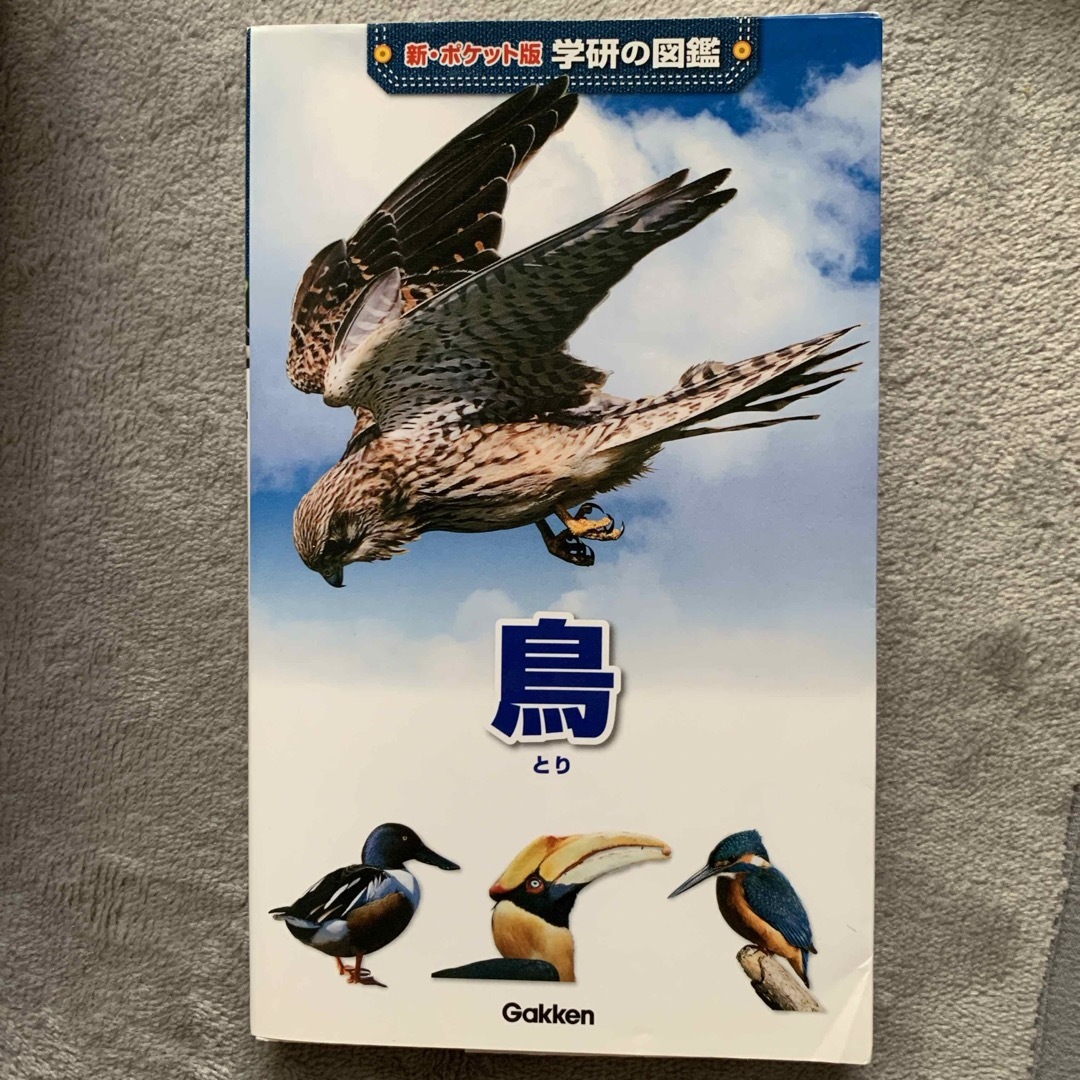 鳥 エンタメ/ホビーの本(絵本/児童書)の商品写真