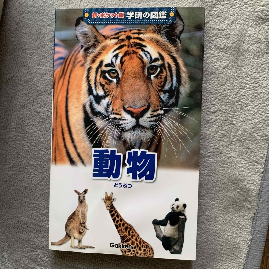 動物 エンタメ/ホビーの本(絵本/児童書)の商品写真