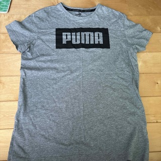 プーマ(PUMA)のPUMA tシャツ 152(Tシャツ/カットソー)