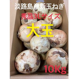 ♦️秀品3Lサイズ10Kg ♦️淡路島新玉ねぎ　たまねぎ　玉葱(野菜)