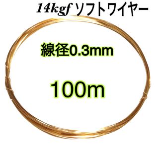 【100m】線径0.3mm 14kgf ソフトワイヤー　ハンドメイドまとめ売り　(各種パーツ)