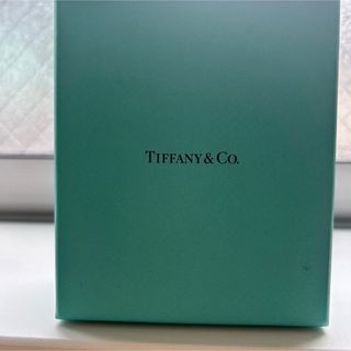 Tiffany & Co. - Tiffany&Co ハードウェア ピアス